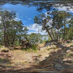 20240519_114926.PHOTOSPHERE