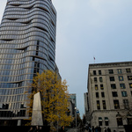 20241106_074623.RAW-02.ORIGINAL