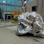 20241106_074645.RAW-02.ORIGINAL