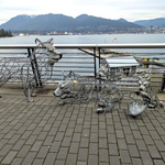 20241106_094202.RAW-02.ORIGINAL