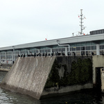 20241106_101632.RAW-02.ORIGINAL