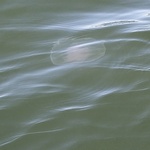 20260908_121717_1