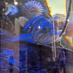 20260910_113032_1