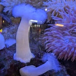 20260910_113037_1